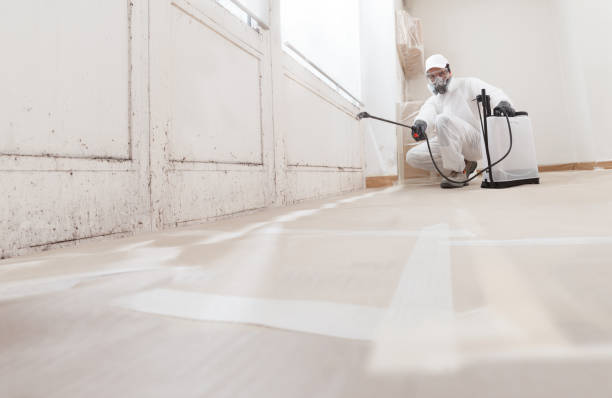 24/7 Emergency Commercial Mold Remediation experts in Church View, VA