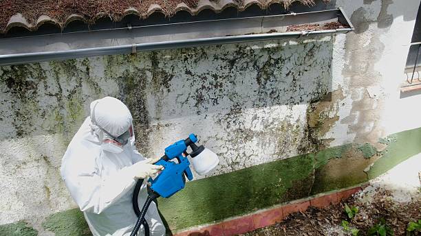 Top rated local Commercial Mold Remediation specialists in Church View, VA